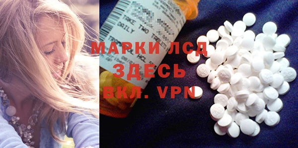 прущие грибы Калининец